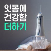 덴티온 휴대용 구강세정기 물치실