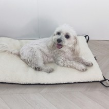 해피나비 강아지 고양이 겨울 방석 쿠션, 원목 해먹(레드)