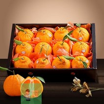 여름상회 제주_2kg(5-11과)_고당도_[참다올]_레드한라봉 DE37, 상세페이지 참조