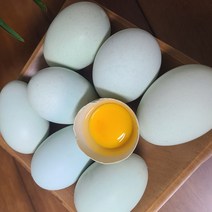 청란 초란 청난 청계란 청계알, 40구