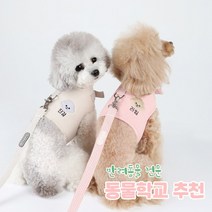 리토가토 러비 커스텀 캐릭터 강아지 하네스 + 리드줄 세트 베이지 (컴퓨터 자수) 동물학교 추천, 민트