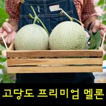 영화농산 프리미엄 멜론 8kg 곡성멜론 멜론가격영화농산 프리미엄 멜론 8kg 곡성멜론 허니듀메론 칸탈로프멜론 하니원멜론 멜론가격 양구멜론 머스크멜론 여름과일 과일, 1개