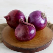 산지직송 자색양파 무안양파 햇양파 조생양파 적양파, 자색양파 5kg, 1개