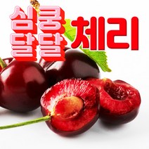 프리미엄 고당도 생체리 체리 1kg 750g 500g