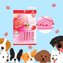 뉴트리오덴탈츄100g 먹는치약 덴탈껌 딸기 치석제거 _ 20230302EA, 쿠팡 1, 쿠팡 본상품선택