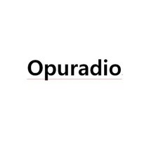 후석모니터 Opuradio에서 자동차 오디오 수리 부품에 대한 새로운 OEM LCD 디스플레이 메커니즘