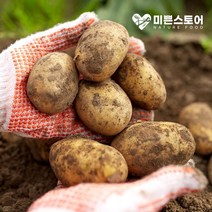 미쁜스토어 포실포실한 2023년 햇 감자 3kg 5kg 10kg 20kg, 1개, 감자 5kg 특(찜용/요리용)