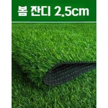 인조잔디 카펫 매트 야외 옥상 테라스 유치원 축구장 방화 방염 잔디 2.5cm, 봄 잔디 2.5 cm (2m x 0.5m)