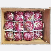 라디치오 6통 2kg