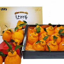 이제주몰 한섬누리 서귀포올레 한라봉 선물용 2.5kg(8-11과), 1개