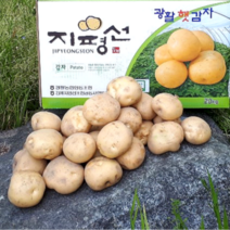 [싱싱다모아] 김제 광활 지평선감자 국내산 하우스 햇 감자 수미감자 3kg 5kg 10kg, 특 (요리용/찜용) 5kg