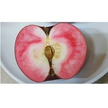 정성껏 재배한 엔부사과 속빨간사과 속이 빨간삭과 분묘 결실주 대과종, 1개