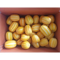 산지직송 당도선별 석군참외 성주참외 5kg 실중량, 성주참외 가정용 5kg 중과