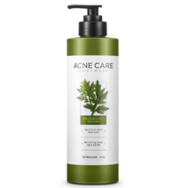 애경 샤워메이트 사철쑥 아크네 케어 바디워시 500g, 22개