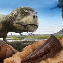 초등학생 과학시간 공룡화석찾기놀이 고고학 키카 IPBO_1805845