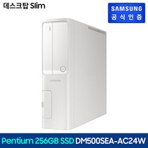 [dm500sea-ac24w] 삼성전자 데스크탑 DM500SEA-AC24W, 단일옵션