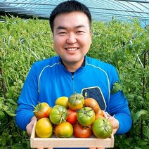 (람이네)농부가 직접운영 대저 토마토 찰토마토 대과 2.5kg 주스용 쥬스용토마토 산지직송, 1box, 대저 주스용토마토2.5kg