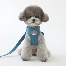 [카민프로젝트] 반려동물 베베 하네스(주문제작), 아쿠아블루