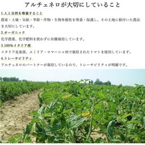 Japan직구 Alce nero 스펠링 비스킷 최상급 벨류 자연유래 300그램 1PACK, 수량, 상세참조