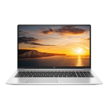 HP 2021 프로북 450 G8 38.1cm 인텔 I5-1135G7 16G 512G MX450, WIN10 Pro, 실버, 16GB, 512GB, 코어i5, 2Z9A5PA