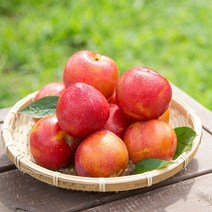 새콤달콤 자두 5kg 소과, 없음