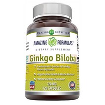 Amazing Nutrition 어메이징 포뮬러스 은행잎 추출물 120mg 120캡슐