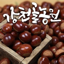 [농협] 토실토실 햇밤 순창 알밤 특대 (제수용), 1박스, 특대 3kg
