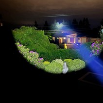 Z-BOLT 블레이저 LED 장착 조명127432