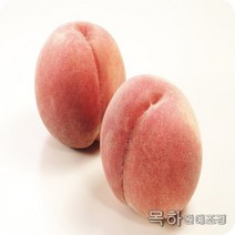 목하원예조경 복숭아나무 묘목 (유명) 접목1년특묘, 1개