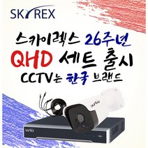 스카이렉스 QHD 초고화질 하이브리드 매장&가정용CCTV 케이블10M 풀세트 실내외겸용, 보급형 실내2개(전용 케이블 10M+아답터)