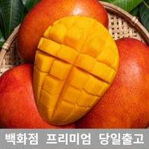 [특등급선별] 애플망고 1.5kg 제주애플망고 제주도애플망고 제주망고 애플망고선물세트 제주산애플망고 망고선물세트 애플망고선물 과일 과일종류 제철과일 겨울과일 망고쇼핑몰 과일선물
