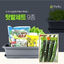 (고추텃밭세트) 집에서 베란다 상추 파 대파 방울토마토 키우기 베란다 아파트 텃밭