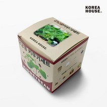 강낭콩 키우기세트 베란다 텃밭 홈가드닝 식물 기르기, 상세페이지 참조