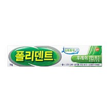 폴리덴트 의치부착재 후레쉬 민트 70g, 1개