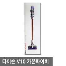 (정품)다이슨 V10 카본파이버 / 리안