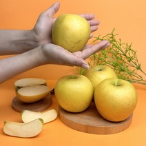 시나노 골드 스위트 황금 햇사과 흠과 못난이 사과, 가정용 소과2kg(10~13과), 1개