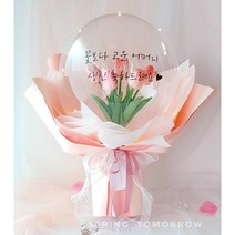 [내일도 봄] 튤립 졸업식꽃풍선 꽃다발 입학 승진 결혼기념일 임신 출산 선물, 블루수국 화분형, 없음, 쇼핑백+2500