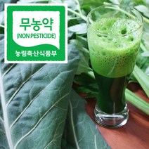 직거래농민장터 무농약 케일 신선초 친환경 녹즙용, 1box, 무농약 신선초 2봉지(총1.1kg)