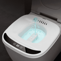 버블좌욕기 거치형 좌욕 버블기 좌욕기온도 가정용, 옵션1