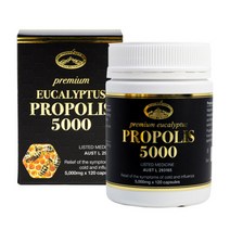 Natures Top 네이처스탑 프리미엄 유칼립투스 프로폴리스 5000 120정 EUCALYPTUS PROPOLIS