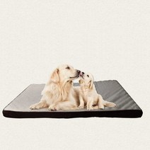 바보사랑 메모리폼 강아지 고양이 매트.펫블라썸, 다크브라운