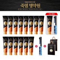 LG생활건강 명약원 골든프로폴리 플러스 치약 120gX15개+칫솔2개+쇼핑백2개, 단일옵션