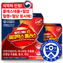 연세 세브란스케어 써큐맥스 플러스 블러드케어 X5 혈행 혈당 혈압 콜레스테롤 면역기능 영양제 코엔자임 코큐텐 홍국 아연 바나바잎 은행잎 추출물, 2box, 60캡슐