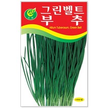 고추 부추 피마자 파슬리 씨앗 택1 씨앗심기 씨앗재배 씨앗발아, 82번 부추 1000립, 1개