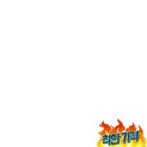 소라 방석 모양, 반려동물 극세사 소라 방석 고양이 애견 모양
