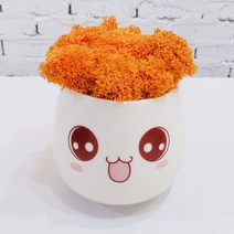 스칸디아모스 천연이끼 공기정화 이모티콘 화분, 큰 이모티콘 모스-오렌지