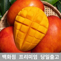 애플망고 1kg 제주애플망고 제주도애플망고 제주망고 _ 2023985EA, 1, 본상품선택