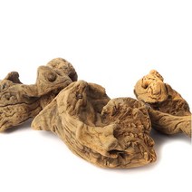 미미네아쿠아 오푸아유목 10~20cm 내외 (랜덤) - (어항레이아웃), 단품없음