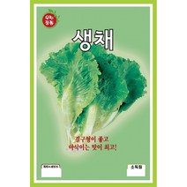 KS 생채 1500립/엽채류/엽채류/가정원예용채소/엽채류/가정원예용채소/쌈채소