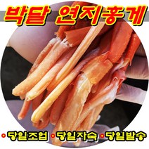 국산 포항 구룡포 홍게 박달 연지 홍게 당일조업 당일자숙 당일발송, 붉은대게 중(5미)